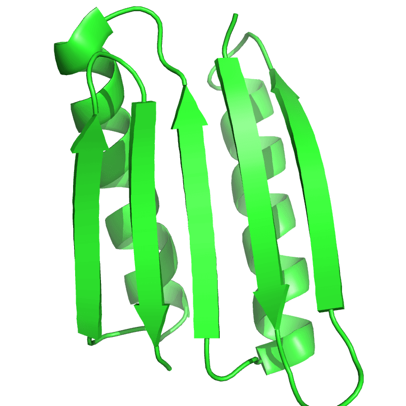 A ribbon-diagram rendering of Top7, the first computationally designed protein with a fold not previously observed in nature, by Kuhlman and colleagues in 2003. On Tuesday August 18, 2026, Anthropic published a paper showing that Claude — Mythos Preview and Opus 4.8 — autonomously ran a protein-design pipeline against 15 targets, produced 1,320 candidate binders, and verified 354 of them in the wet lab across two independent contract research organisations, Adaptyv Bio and Twist Bioscience. The overall hit rates were 26.7% and 22.6%, against a field baseline of 10–15%. On RBX1, Mythos Preview hit 40% against a human-designer competition field that averaged 3.7% across 245 entries. The paper is the strongest wet-lab-validated science result any frontier lab has posted from a general-purpose model rather than a specialist tool such as AlphaFold or AlphaProteo, and Anthropic has already blocked the capability in the generally-available Claude Fable 5 model, restricting access through a forthcoming vetted-scientist programme.